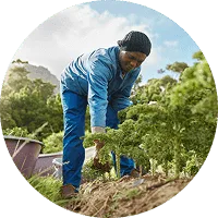 Organic Farming - 杏彩体育