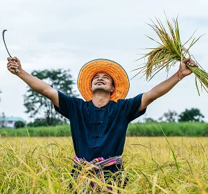 Agri-Tech and Innovation  Updates - 杏彩体育
